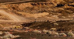 500万网彩票简介